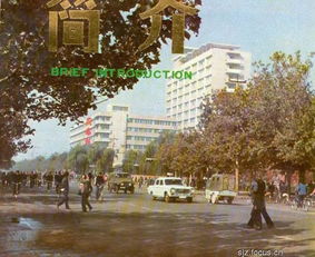 身份证是1301开头的石家庄人,抓紧看,真的回不去了