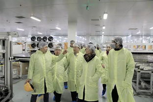 晶硅制造事业部各级领导莅临海宁工厂指导工作